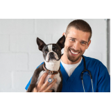 onde fazer oncologia para cães Sertãozinho