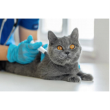 onde tem vacina de raiva gato Vila Augusta