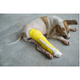 ortopedia para cachorro de grande porte Vila Augusta