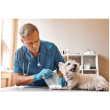 ortopedista para cachorro marcar Guará